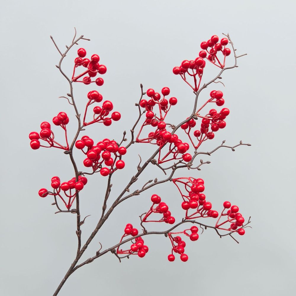Decorative Simulation Berry Br - Photography Simulator 评论和价格