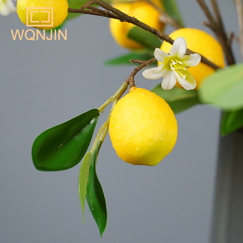 Lemon Branches With Fruit Simu - Photography Simulator 评论和价格