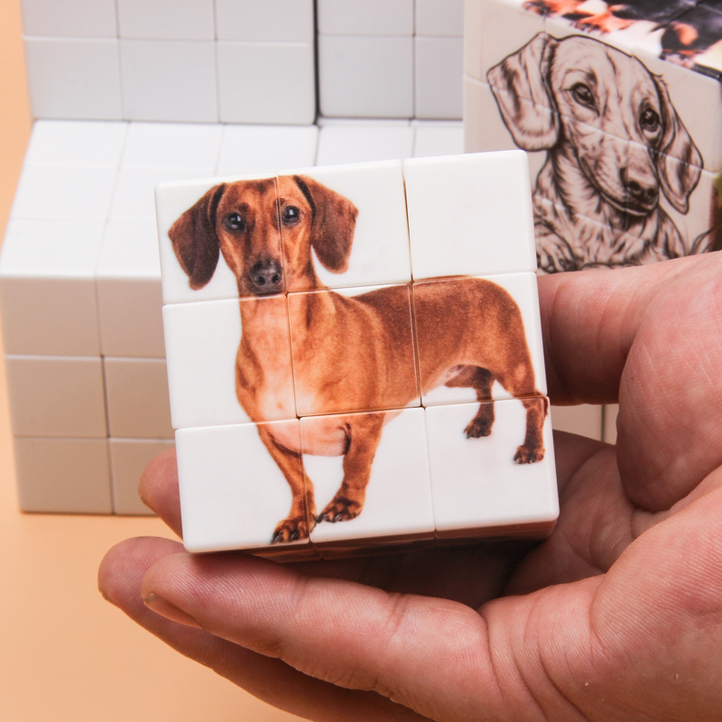 Personalized magic cubes, cust - Photography Exhibition 评论和价格
