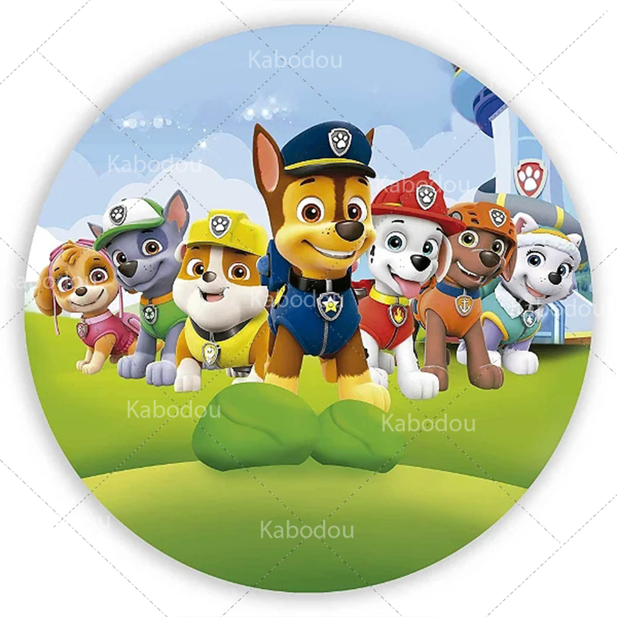 Paws Patrols Round Backdrop Do - Photography Composition 评论和价格
